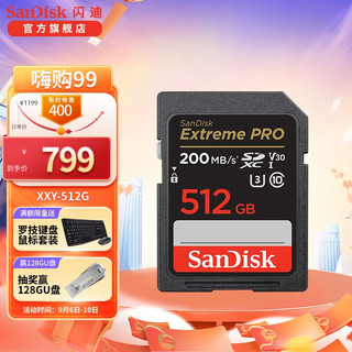 SanDisk 闪迪 SDXC SD存储卡 512GB（UHS-I、V30、U3）