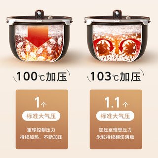 TOSHIBA 东芝 玫瑰煲10PRTC压力IH电饭煲多功能家用日式发芽米饭锅2-4人3L