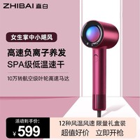 ZHIBAI 直白 吹高速吹风机负离子速干护发家用大功率大风力冷热电吹风筒