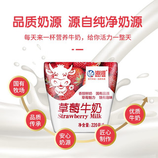 海河乳业 海河（HAI  HE）牛奶儿童营养早餐奶天津海河风味奶 海河牛奶经典口味组合 220ml