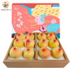 老胡桃园无锡阳山水蜜桃礼盒装 品 时令生鲜新鲜水果桃子 12个装 5-6两果