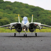 sisketo 天智星 电动遥控EPO飞翼 F14 双80mm涵道像真航模飞机模型 整机全套RTF到手飞(控电拟充)