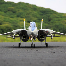 sisketo 天智星 電動遙控EPO飛翼 F14 雙80mm涵道像真航模飛機模型 整機全套RTF到手飛(控電擬充)