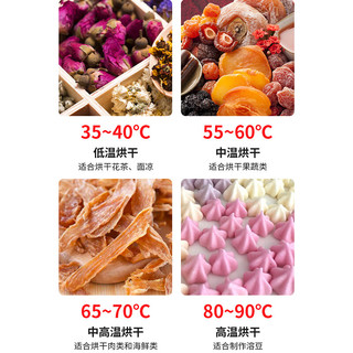 QKEJQ   水果烘干机食品商用小型食物宠物零食肉干水果干果蔬风干机   6层迷你款