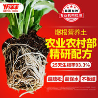 洋丰 家庭园艺通用营养土种花土多肉土兰花土养花盆栽土 3L