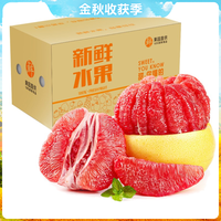 禾三百 红肉柚子 1.4斤