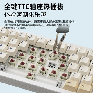 XINMENG 新盟 M66 66键 有线机械键盘套件 魔力黑 RGB PC定位板