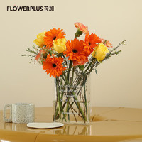 FlowerPlus 花加 悦花单次体验水养鲜切花装饰周六收花不含花瓶