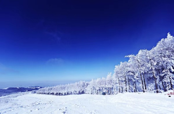 雪期超长180天！送2张价值800+的雪票！张家口崇礼万龙滑雪场双人2天1晚住宿+双早+滑雪票+温泉