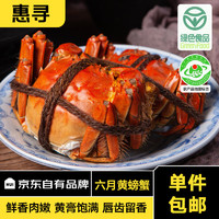 惠寻 京东自有品牌 大闸蟹六月黄2.3-2.6两8只 鲜活螃蟹生鲜水产去绳足重