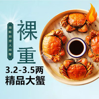 HUXIANYANGCHENG 湖鲜阳澄 大闸蟹 去绳足重 3.2-3.5两 8只