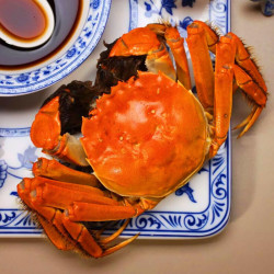 宿有千香大闸蟹全母蟹2023两8只鲜活大闸蟹去绳足重螃蟹海鲜水产礼盒