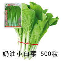 珂玮 奶油小白菜种子  500粒