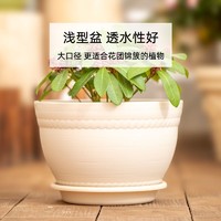 抖音超值购：IRIS 爱丽思 花盆绿萝多肉天竺葵鲜花树脂阳台爱丽丝花盆圆形简约厚实