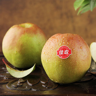 佳农玉露香梨产地直发新鲜水果梨子 产地直发 净重1.5Kg