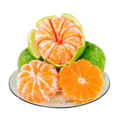 蜜桔 酸甜水果橘子 9斤