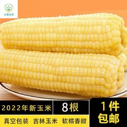 Northeast Peasant Madame 东北农嫂 北國之村东北白糯玉米新鲜糯玉米真空包装即食200g*8支