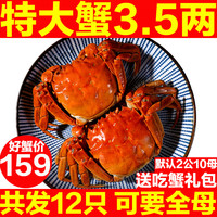 活蟹12只大闸蟹鲜活螃蟹特大全母公河蟹阳澄湖镇海鲜水产旗舰礼盒
