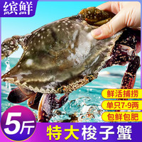 缤鲜 梭子蟹鲜活新鲜特大野生舟山大螃蟹海鲜水产冷冻海蟹白蟹飞蟹