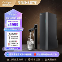 Culligan AVE-T2800 反渗透纯水机 1100G 黑色