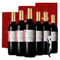 TENPA 天帕 TENTA）智利中央山谷进口天帕卡曼尼干红葡萄酒红酒13.5度750ml*6瓶整箱