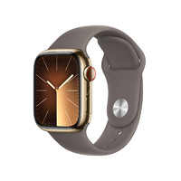 Apple 苹果 Watch Series 9 智能手表 GPS+蜂窝网络款 41mm 金色不锈钢表壳 陶土色橡胶表带 S/M