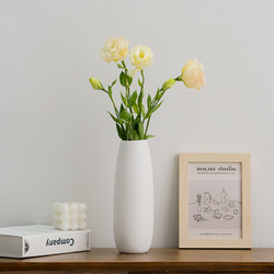 蜀门 白色北欧创意简约装饰干花花瓶家居现代餐桌客厅插花摆件花器