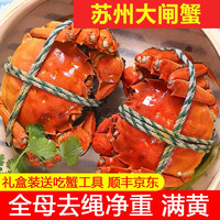 神行大闸蟹全母蟹鲜活螃蟹河蟹海鲜生鲜水产中秋礼盒 2.3两公 2.0两母 12只6对