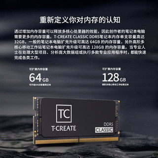 Team 十铨 开创者 DDR5 5600MHz 笔记本内存 马甲条 黑色 16GB
