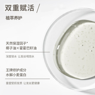 Brandfree 无名极物Brandfree山茶花发膜精油修护改善毛躁柔顺护发素180g （送10g*2，签到）