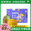 四川攀枝花凯特芒6斤礼盒装新鲜当季水果芒果