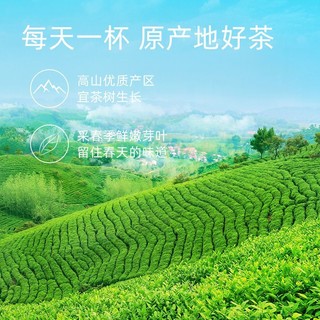 文新 信阳毛尖绿茶2023新茶茶叶特级嫩芽密封罐20g
