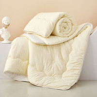 百丽丝 大豆纤维被春秋四季被冬被被子被芯单人被宿舍学生被褥 豆泡泡抗菌二合一被 220cm×240cm