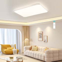 nvclighting雷士照明20点雷士照明光鸿吸顶灯120w遥控调光调色款限前