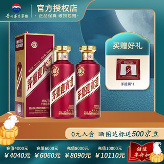 迎宾酒 酱香型白酒送礼酒水 53度 500mL 2瓶 （带礼袋）