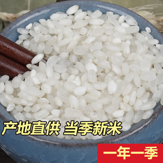 东北大米厂家东北稻香白米10斤
