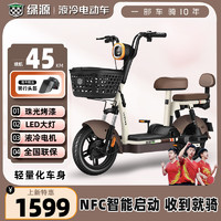 绿源（Luyuan）电动车NFC智能解锁电动自行车48V男女时尚电瓶车轻便代步车 焕彩深咖