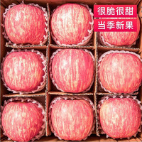 京东生鲜 陕西洛川红富士80mm+ 5斤大果