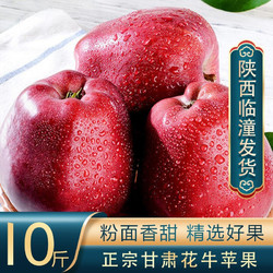 CAITI 采缇 花牛新鲜苹果 中小果8.5-9斤