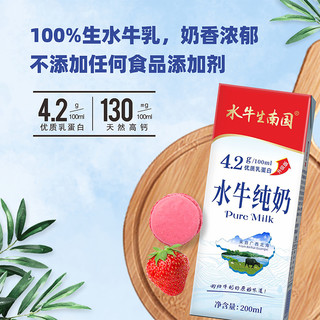 水牛生南国纯水牛奶200mL*10盒装 4.2g乳蛋白营养早餐奶