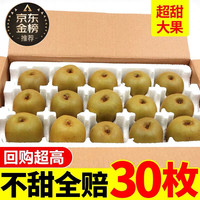 白影宁四川蒲江红心猕猴桃新鲜水果 国产奇异果大果礼盒装整箱现摘现发 现摘现发普通箱 约2.5斤(单果70-90g)