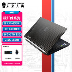 TERRANS FORCE 未来人类 台式CPUR5-5600X RTX3070 16G 1T SSD 165Hz2.5K电竞屏 WiFi6+ 碳纤维外观）