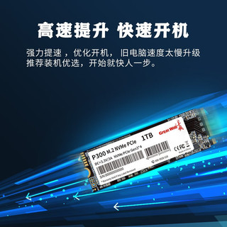 Great Wall 长城 SSD固态硬盘M.2接口(NVMe协议)PCIe3.0x4 P300系列 1TB 3200MB/s 全新原装