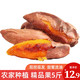 芮瑞 龙九红薯红蜜薯 新鲜蔬菜 5斤