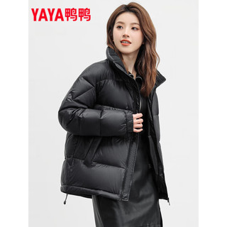 鸭鸭（YAYA）丞磊同款羽绒服女短款2023冬季新款时尚休闲立领情侣款保暖外套HY 黑色