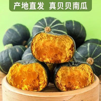 晨臻 山东贝贝南瓜宝宝粉现货甜板栗味小南瓜整箱 9斤装精品好果