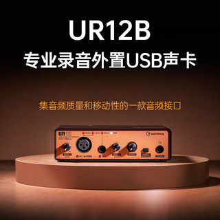 雅马哈（YAMAHA）UR12配音有声书录音专业设备声卡外置电容麦克风录音棚吉他曲 UR12声卡标配