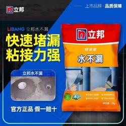 立邦 水不漏堵漏王 1kg