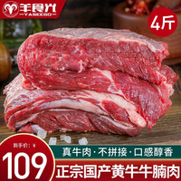 YASEEGO 羊食光 高原散养黄牛牛腩肉4斤 精修鲜切牛腩红烧冷冻商用
