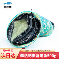 渔传播FISHERY PROPAGATION新西兰鲜活蓝鲍鱼 6-9 头 共500g大鲍鱼贝类刺身